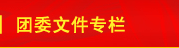 团委文件专栏